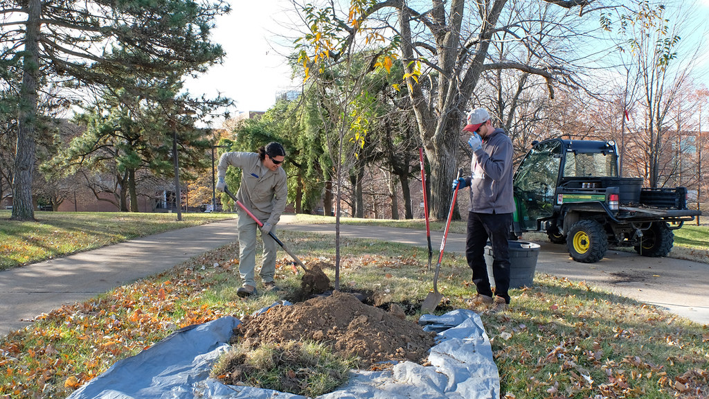 Greg Ward & student planting spring bulbs in Nov2017